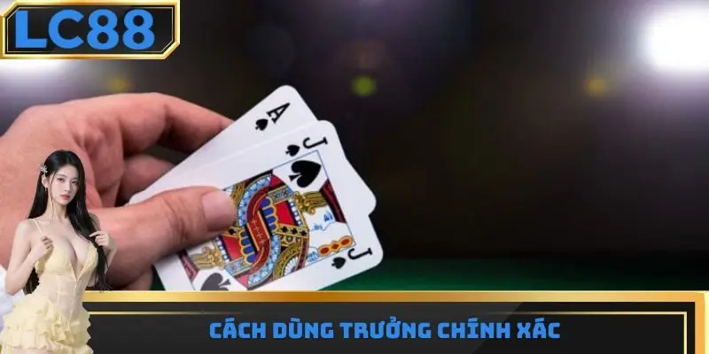 Cách dùng Trưởng chính xác