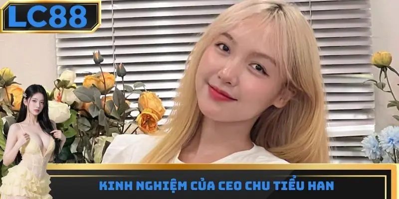 Kinh nghiệm của CEO Chu Tiểu Han